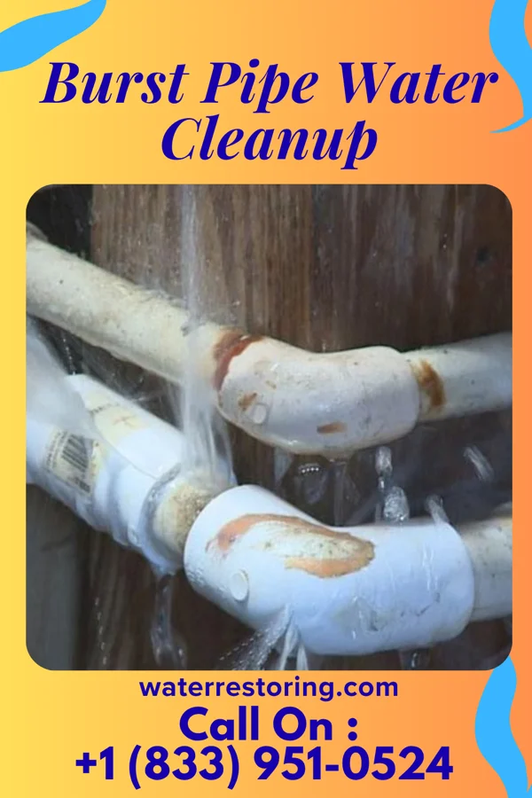 Burst Pipe Water Cleanup in Greensburg, MD