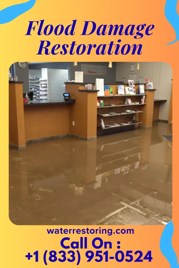 Flood Damage Restoration in Greensburg, MD