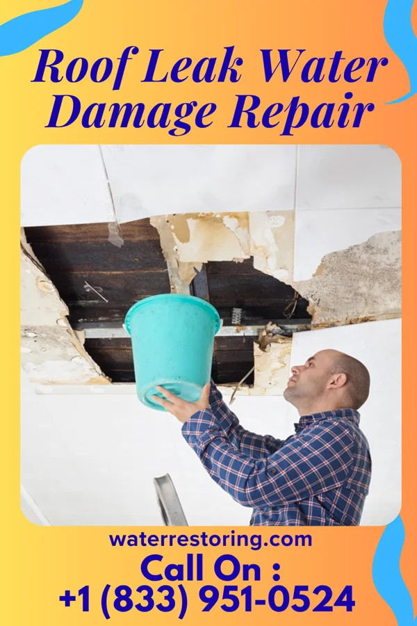 Roof Leak Water Damage Repair in Greensburg, MD